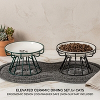 Gamelle en céramique blanche élégante pour animaux de compagnie avec support en fer surélevé, écologique, étanche et anti-renversement pour chats