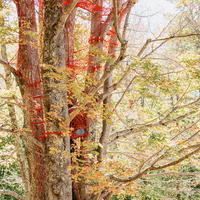 NetsTribe Système d'escalade en corde personnalisé pour aire de jeux en forêt, auvent forestier, solution pour parc d'activités naturelles en plein air pour enfants et complexe hôtelier
