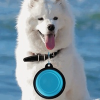 Bol pliable en plastique pour chien et chat, pour l'eau et la nourriture, avec anneau de fixation - Léger, durable, imperméable