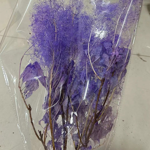 2023 Yunnan di alta qualità rosso conservato cespuglio di fumo/Cotinus coggygria per il <span class=keywords><strong>fioraio</strong></span> accessori per l'arredamento dell'ufficio - Product Image 2