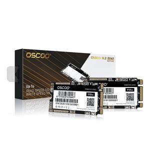 SSD M.2 NGFF M.2 2242 Internal SATA SSD 1TB 512GB 256GB 128GB untuk Server - Product Image 1