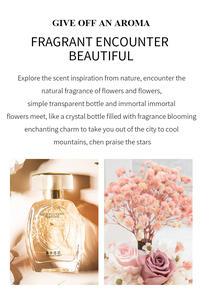 Parfum ODDIS aux fleurs sauvages longue durée, senteur violette et fraise, arôme français, flacon transparent 50ml, vaporisateur, approvisionnement en gros - Product Image 6