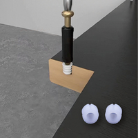Couvercle d'écrou de protection en PVC antirouille en gros M6 écrou à vis pour connecteur de meuble d'armoire de salle de bain de cuisine