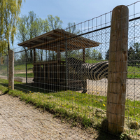 Panel de Malla de Alambre de Acero Tejido de Alta Calidad, Corte Personalizado, para Cercas de Ganado, Corrales Portátiles para Toros y Seguridad Temporal