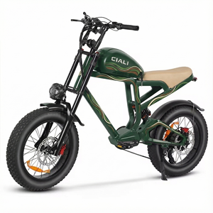 Vélo électrique de ville à prix de gros, 48v, <span class=keywords><strong>20</strong></span> <span class=keywords><strong>pouces</strong></span>, moto électrique, vélo électrique de ville - Product Image 5