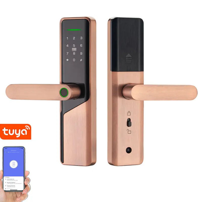 Tuya Türschloss Outdoor Hochwertige Fingerabdruck-Swipe-Karte Entsperren Sie Smart Gate Home Outdoor-Schloss mit Kamera Türklingel Fabrik