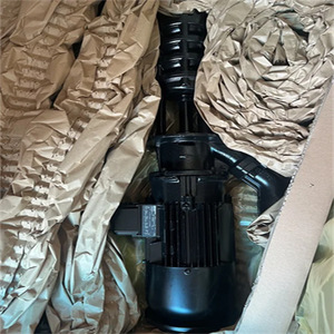 Pompe Brinkmann TC160/580-X+578 20 en acier pour le traitement de l'eau industrielle - Product Image 3