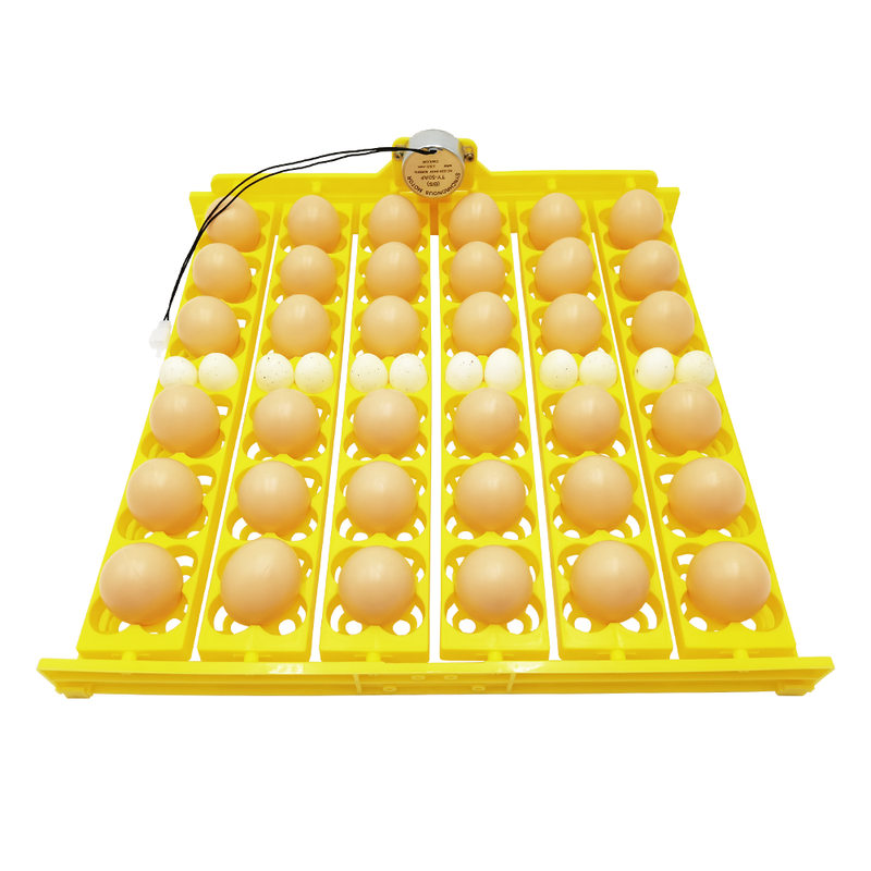 36pcs Automatic Egg Turner plastic Incubator