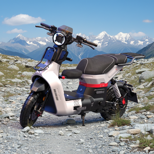 Motocicleta Urbana de Largo Alcance para Adultos, 1000W-2000W, con Batería de 60V30AH y Capacidad de Carga de 250 kg - Product Image 1