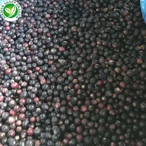 IQF एसडी ब्रांड थोक सस्ते कीमत फल जमे हुए iqf blackcurrant