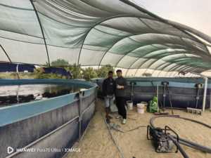 High-Density Large round <strong>Stand</strong> <strong>Fish</strong> <strong>Tank</strong> <strong>for</strong> Aquaculture Equipment - Product Image 3