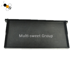 Plastic Bee Frame With Bee <strong>Foundation</strong> Sheet - Product Image 2