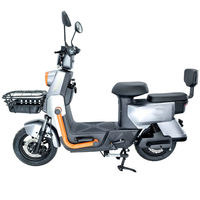 Nouveau vélo économique de 500 W - Alarme de sécurité à distance, moteur en cuivre pur, opportunité commerciale