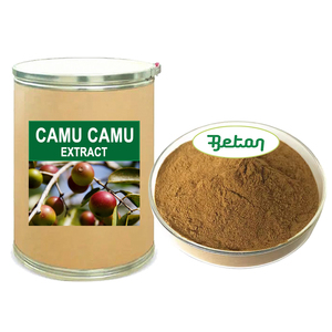 Extracto de <span class=keywords><strong>Camu</strong></span> <span class=keywords><strong>Camu</strong></span>, Materia Prima Natural, Extracto de Fruta de <span class=keywords><strong>Camu</strong></span> <span class=keywords><strong>Camu</strong></span> en Polvo, 99% Vitamina C, 17% 20% - Product Image 1