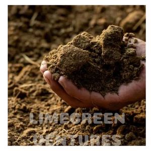 Phân bò hữu cơ phân bò bột xuất khẩu phân Nhà cung cấp số lượng lớn phân bò phân bón trên toàn thế giới - Product Image 4