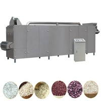 Machine d'extrusion de riz artificiel à double vis de 150 kg/h pour riz fortifié, usine de riz artificiel, fabriquée en Chine