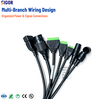 Arnés de Cableado Personalizado para Cámara IP, Multifuncional, con Bloque de Terminales RJ45 y Cable de Alimentación CC para Equipos de CCTV