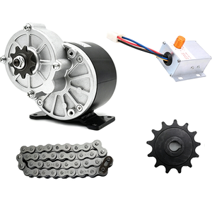 Kit de Motor Eléctrico MY1016Z de <span class=keywords><strong>12V</strong></span> 250W 350W CC con Escobillas y Transmisión por <span class=keywords><strong>Cadena</strong></span> de Larga Duración <span class=keywords><strong>para</strong></span> Kits de Conversión de Bicicletas Eléctricas y Mini Vehículos Eléctricos - Product Image 2