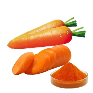 Cà rốt chiết xuất bột cấp thực phẩm cao cấp beta carotene tinh khiết tự nhiên cà rốt chiết xuất bột