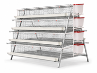 Cages de batterie galvanisées de type A pour poules pondeuses d'élevage avicole, pour la ponte et l'élevage de poulets, en vente