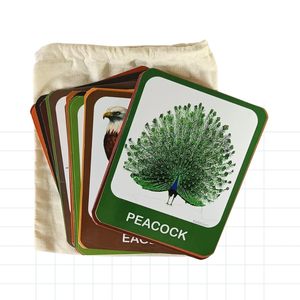 Tarjetas de Memoria Flash de Aves e Insectos para el Aprendizaje de los Niños, Tarjetas de Identificación de Aves e Insectos para Niños de la India - Product Image 4
