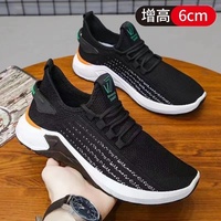 Baskets décontractées tendance pour hommes, à lacets, en maille respirante, confortables, rehaussantes, pour le printemps et l'automne