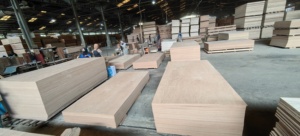 แผ่นไม้ที่เป็นมิตรกับสิ่งแวดล้อมในทะเลเพื่อความแข็งแรงที่ยาวนานในโซลูชันการสร้างและปรับปรุง - Product Image 4