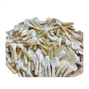 ช้อนเปลือกหอยและช้อนมุก99ชิ้นช้อนตักอาหารสไตล์กูร์เมต์ - Product Image 1