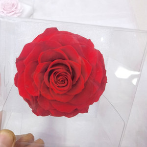 Roses Conservées de Haute Qualité 9-10 CM Qualité de Grade A Grande Tête de Rose pour la Décoration Cadeau de Fête des Mères Diplôme Saint-Valentin - Product Image 2