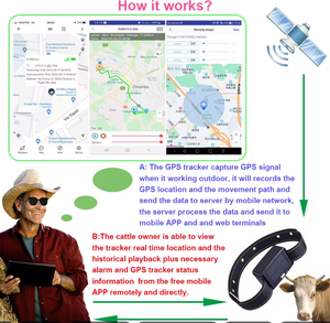 צריכת חשמל נמוכה המתנה ארוכה המתנה ארוכה של בקר משק בקר בקר סוס עם צווארון 4g - Product Image 6