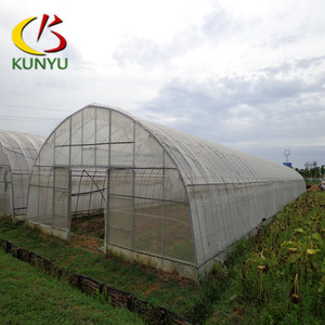 Foshan Kunyu dimensioni personalizzate a campata singola serra da giardino - Product Image 3