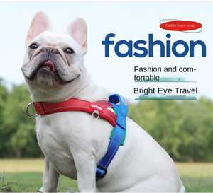Laisse pour chien, laisse pour petit chien, laisse pour chien Dou Fashion, sangle de poitrine solide pour l'extérieur, rembourrage en polyester anti-explosion, bouton, laisse pour chien - Product Image 2