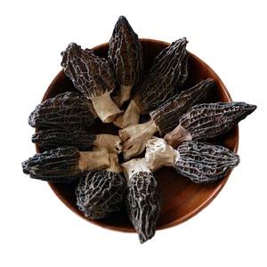 <span class=keywords><strong>Prix</strong></span> d'usine Champignons Morel séchés Champignons Morel noir de haute qualité à vendre Produit alimentaire et de boisson - Product Image 1