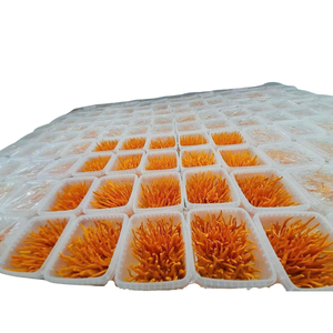 Cordyceps Fresco Enlatado, Cordyceps Natural Cuidadosamente Procesado en Envase de Lata para Comercio Internacional - Product Image 3