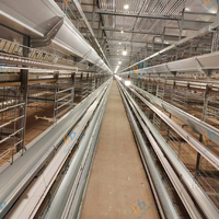 Équipement d'élevage de poulet automatique de ferme avicole de type H Cage à poulet à 6 niveaux pour poules pondeuses