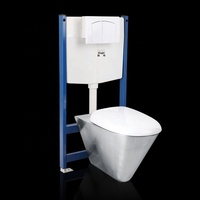Cuvette de toilette suspendue au mur européen Toilette WC en acier inoxydable avec réservoir d'eau dissimulé