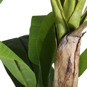 โรงงานจีนพืชประดิษฐ์ต้นกล้วยใบใหญ่สำหรับผลิตภัณฑ์ตกแต่งบ้านใบต้นกล้วยปลอมกระถาง - Product Image 3