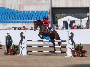 Nhôm Nhảy Đứng Ngựa Hiển Thị Nhảy Nhảy Tiêu Chuẩn Chân Phẳng - Product Image 2