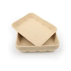 Factory Supply Sustainable Bamboo Pulp Biodegradable Disposable Camp Outdoor Serving Square Plate Dinnerware