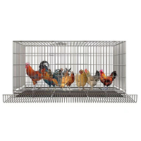 Nouvelles cages d'élevage en acier pour poulets, cages à batterie pour poules pondeuses, pour usage agricole et domestique