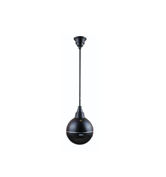 Wholesale Pending Speaker TPO-900 Coaxial Speaker Modern Design Wall Anker Midrange Metal Mesh Grill Pending Speaker