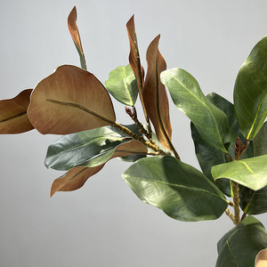 Alta calidad 110cm Magnolia Artificial hojas de naranja ramas de árbol 2 cabezas Real Touch látex decoración de flores realistas - Product Image 4