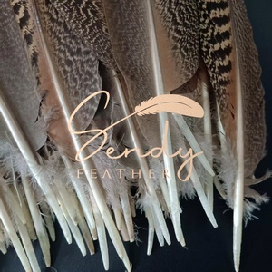 Producto de Artesanía con Plumas de Primera Calidad, Excelente Calidad, Precio Razonable, Alas de Pavo Real Natural Moteadas de 30-35 cm en Venta - Product Image 3
