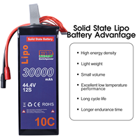 Batterie de drone Lipo à l'état solide, longue durée de vol, légère, batteries personnalisées en graphène, pack 12S 30000mAh 44.4V 30Ah 10C pour UAV