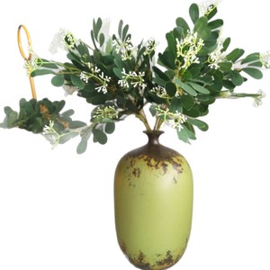 2026 En gros, branche artificielle de feuilles d'eucalyptus et d'olivier avec fruits et verdure pour la décoration DIY de mariages et de la maison - Product Image 5