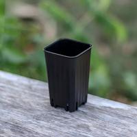 Petit pot carré de 5 cm, épaissi, pour fleurs, plantes succulentes, pépinière, mini-planteur de cactus, décoration de jardin