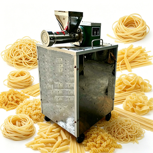 เครื่องทำเส้นก๋วยเตี๋ยวอุตสาหกรรม 150 กก./ชม. 4 กิโลวัตต์ พร้อมแม่พิมพ์แบบกำหนดเองสำหรับเส้นพาสต้าแบบกลวงและแบบเปลือก - Product Image 1