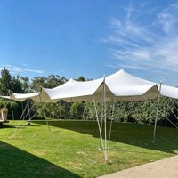 Tentes extensibles en PVC avec poteaux en aluminium imperméables 10x10M, tentes de fête et de mariage de forme libre pour 50 à 100 personnes, utilisables en toutes saisons