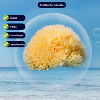 Écologique Grec Nid D'abeille Naturel Éponge De Mer Confortable Bébé Bain Peau Mains Application Brosse Ceinture Boule Pads Type