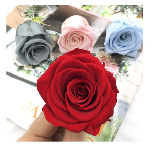 En gros préservé roses jaunes le <span class=keywords><strong>japon</strong></span> a conservé des roses l'éternité roses naturelles - Product Image 1